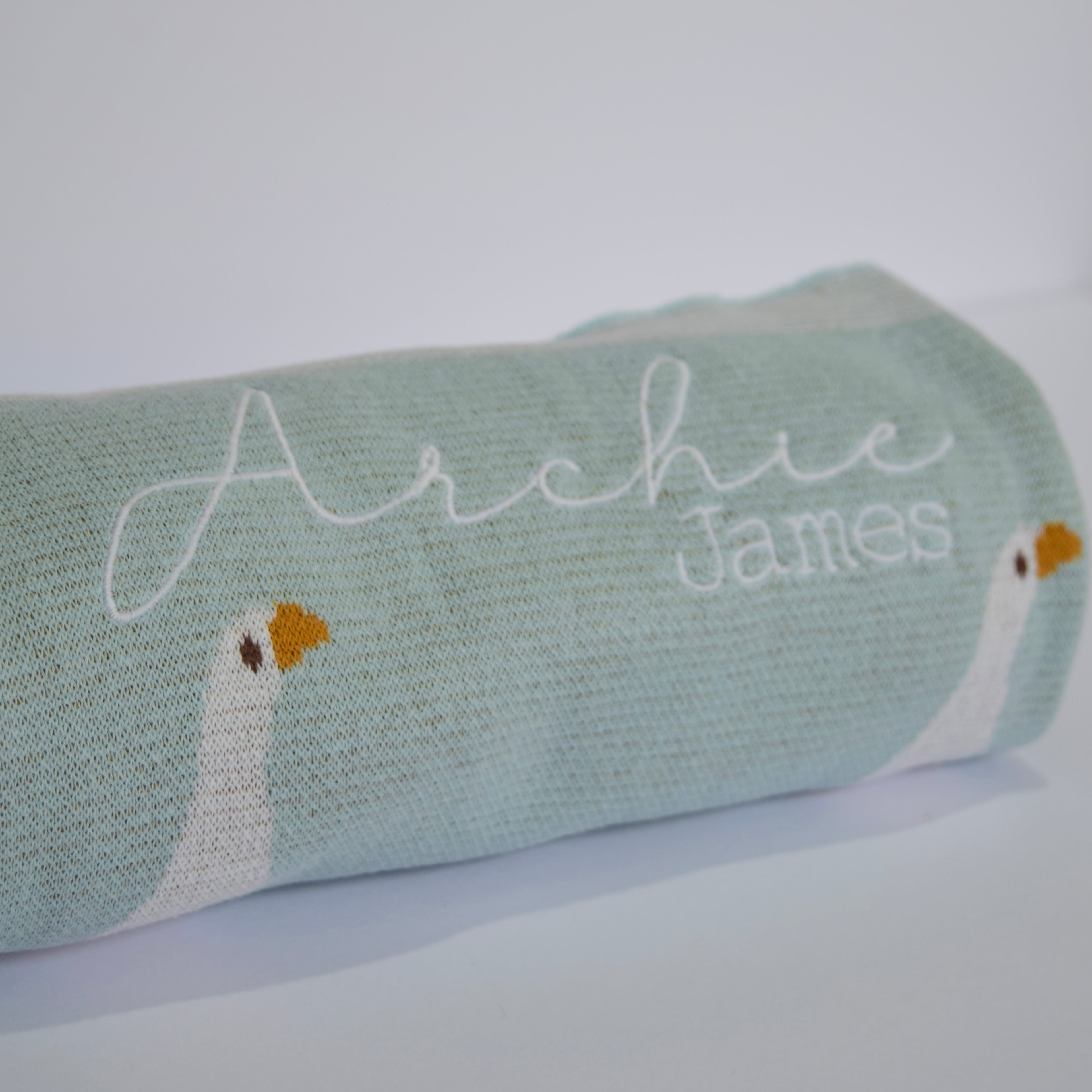 Baby Blanket - Ducks