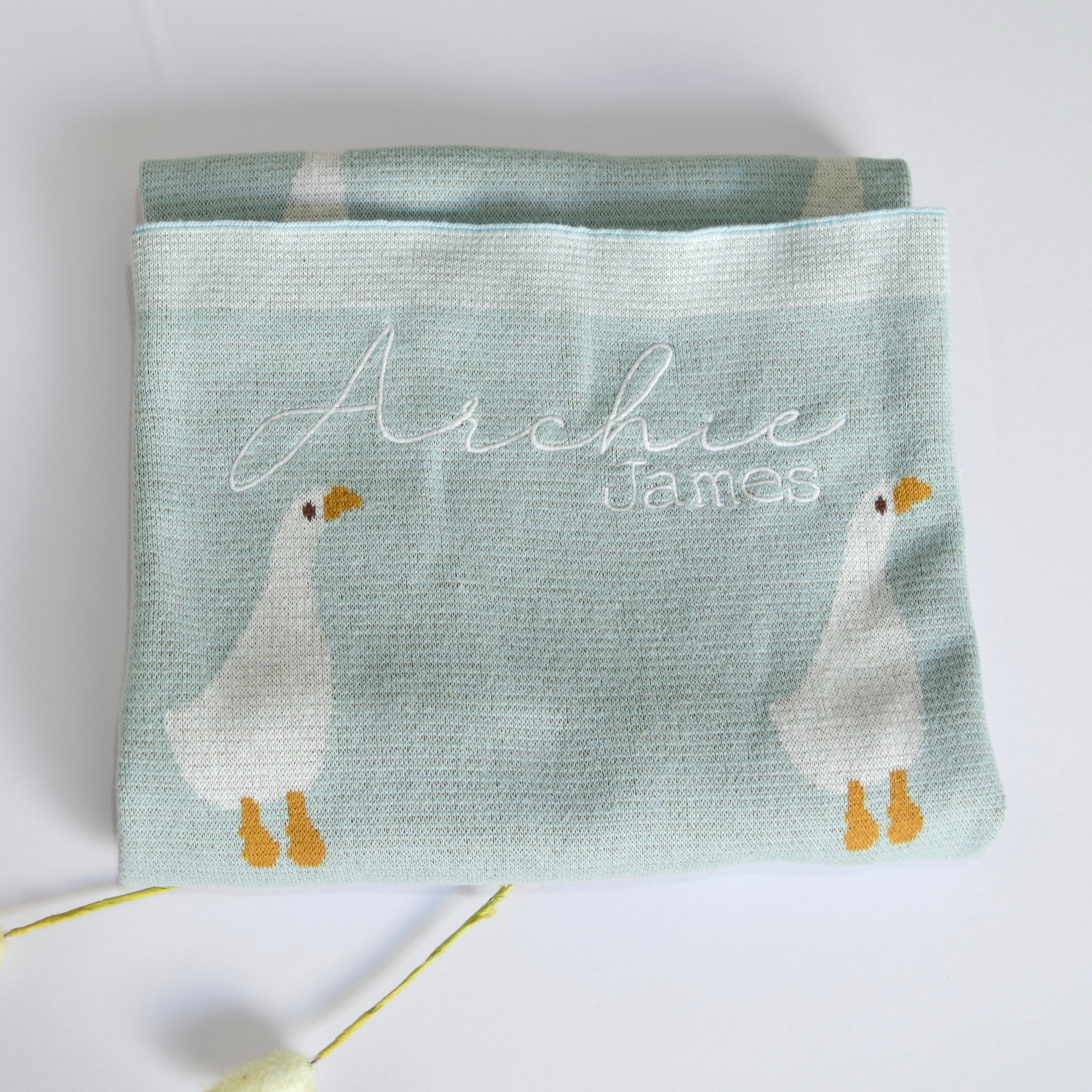 Baby Blanket - Ducks