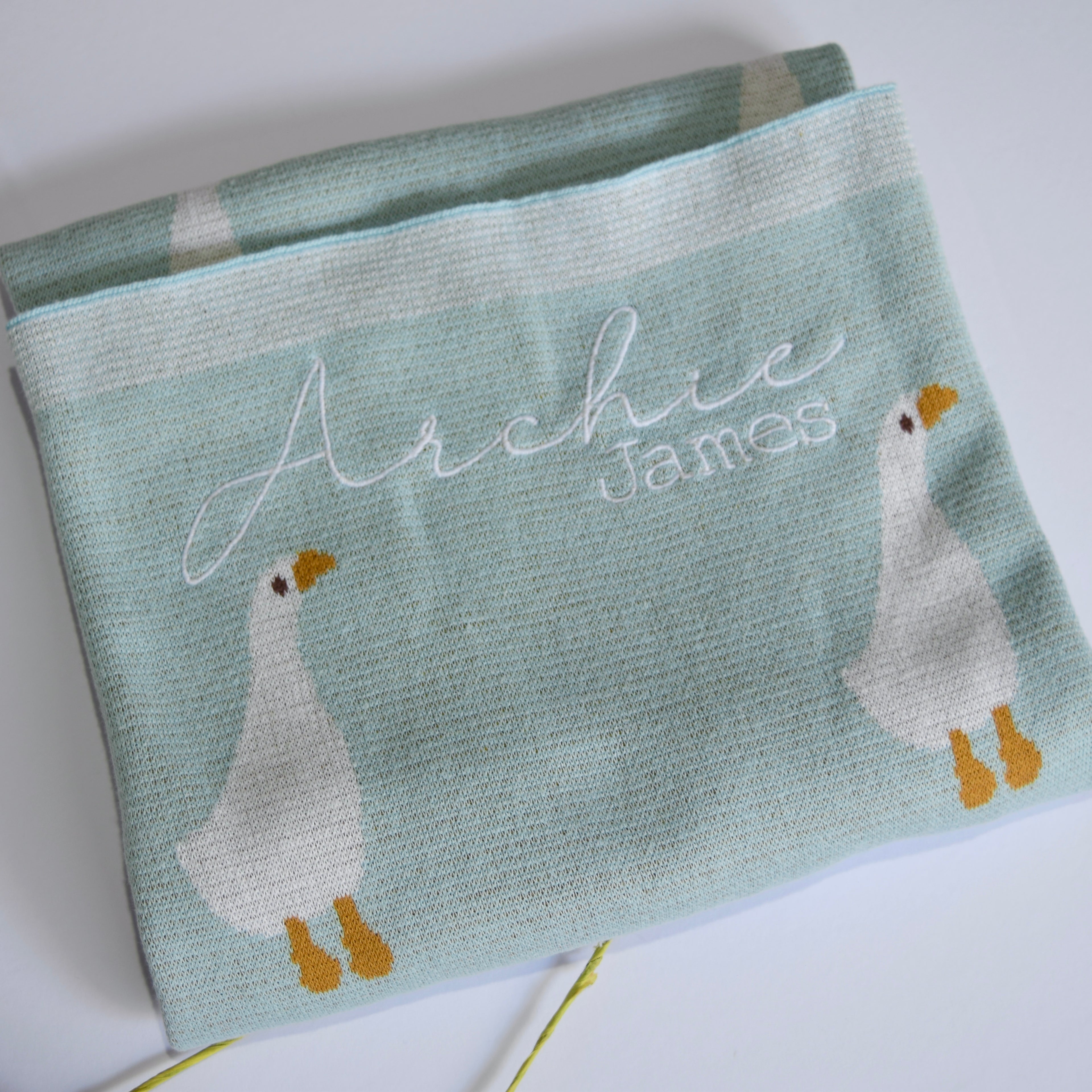 Baby Blanket - Ducks